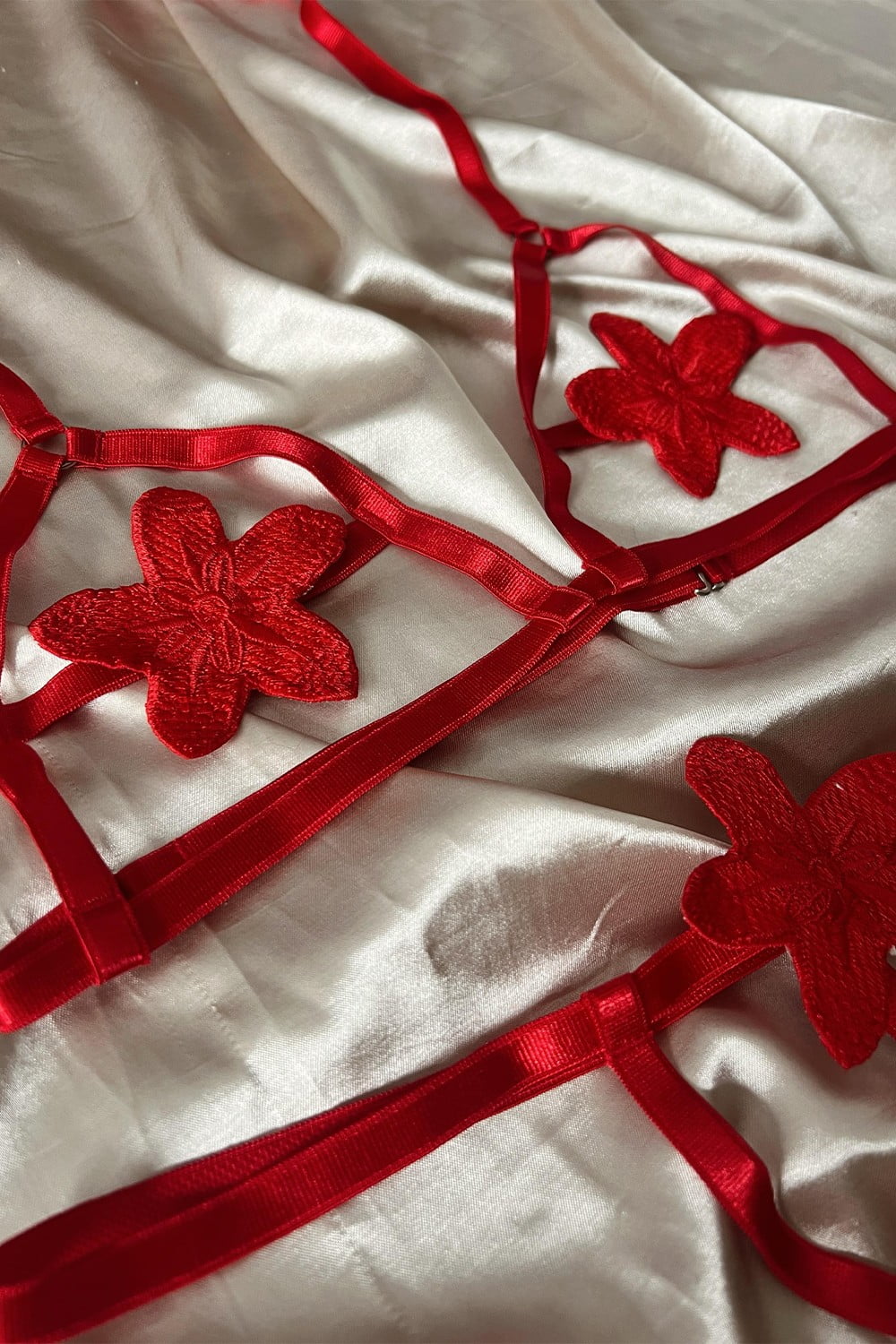 Angie___0001_Copia de WhatsApp Image 2024-02-19 at 08.48.19 2