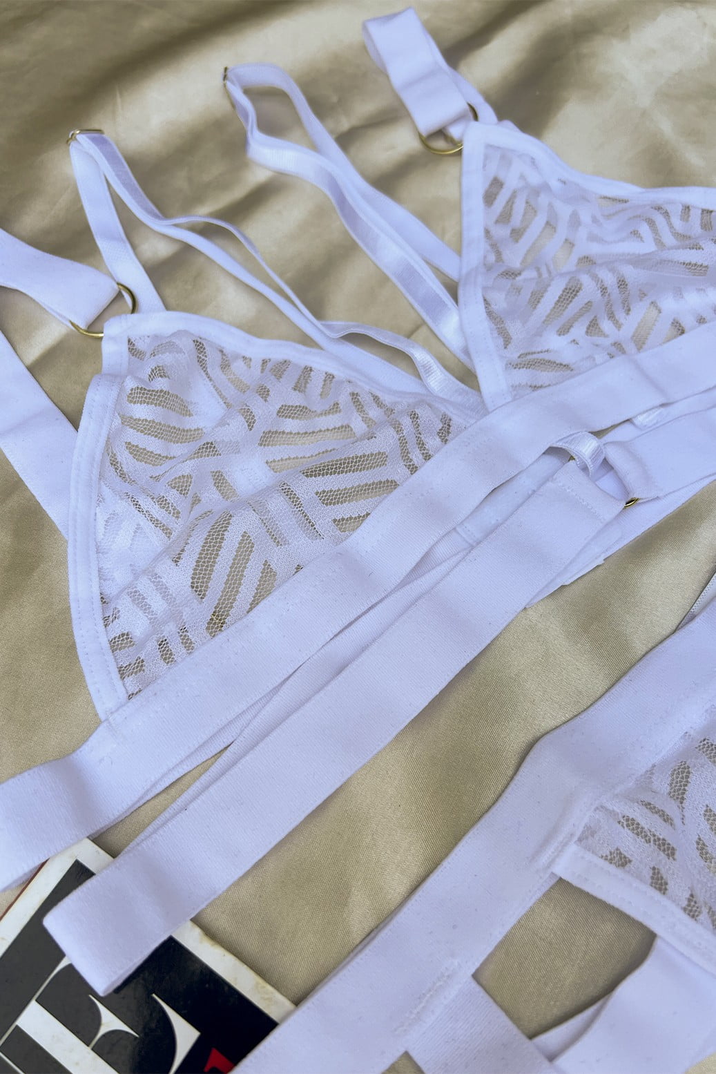 HILLARIE_S__0002_IMG_5516